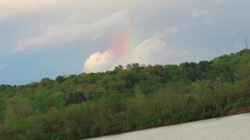 שאטאנוגה Elder Mountain Room At Tennessee Riverplace מראה חיצוני תמונה