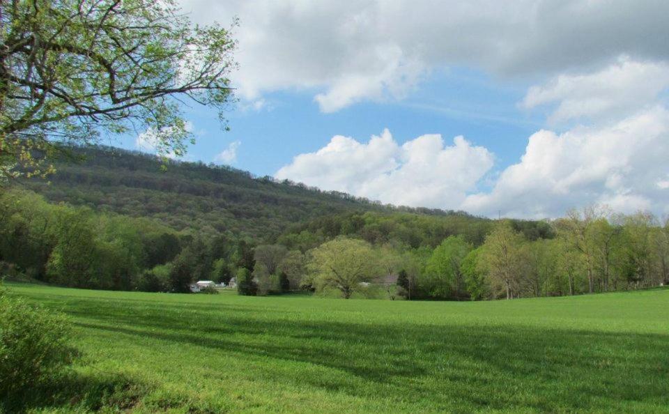 שאטאנוגה Elder Mountain Room At Tennessee Riverplace מראה חיצוני תמונה